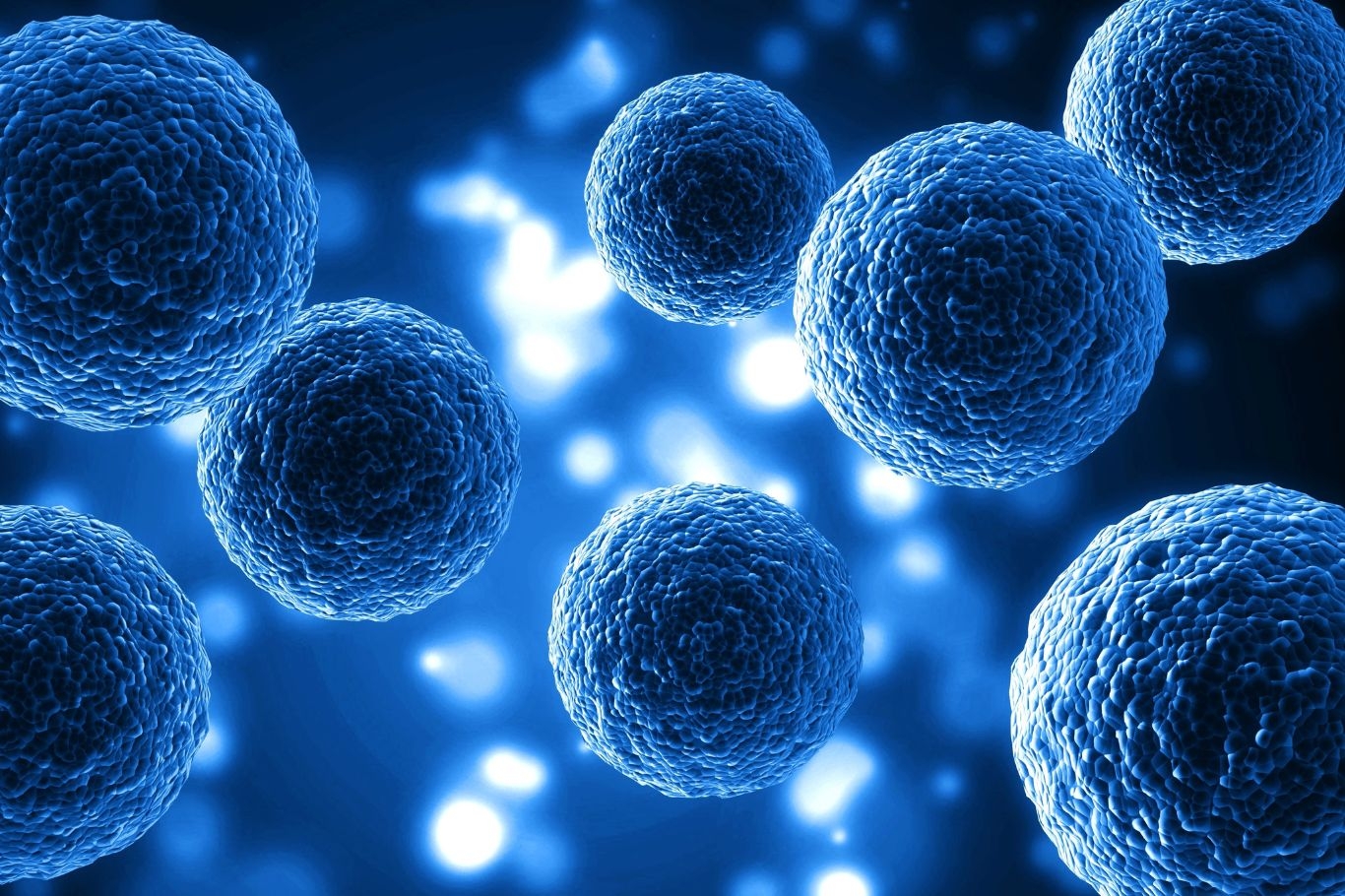 Mesenchymal Stem Cells: Explained